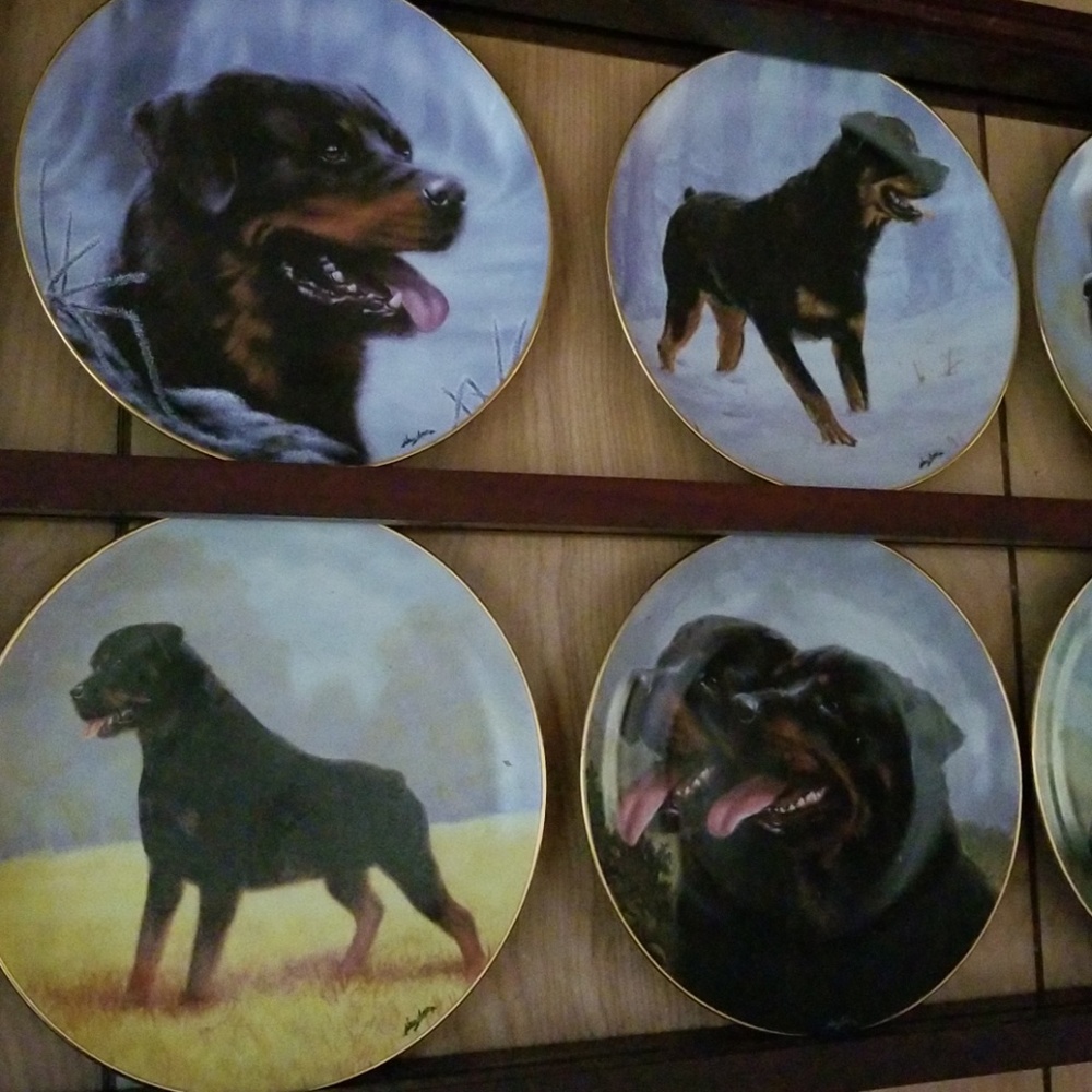 Collector Plates - Picture 2 of 3
